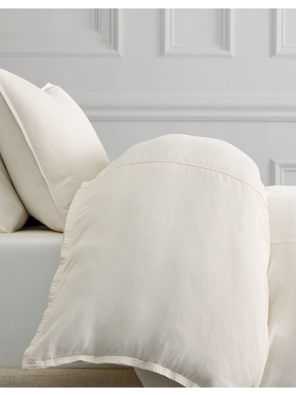 West Elm Brushed Twill duvet euro shams
